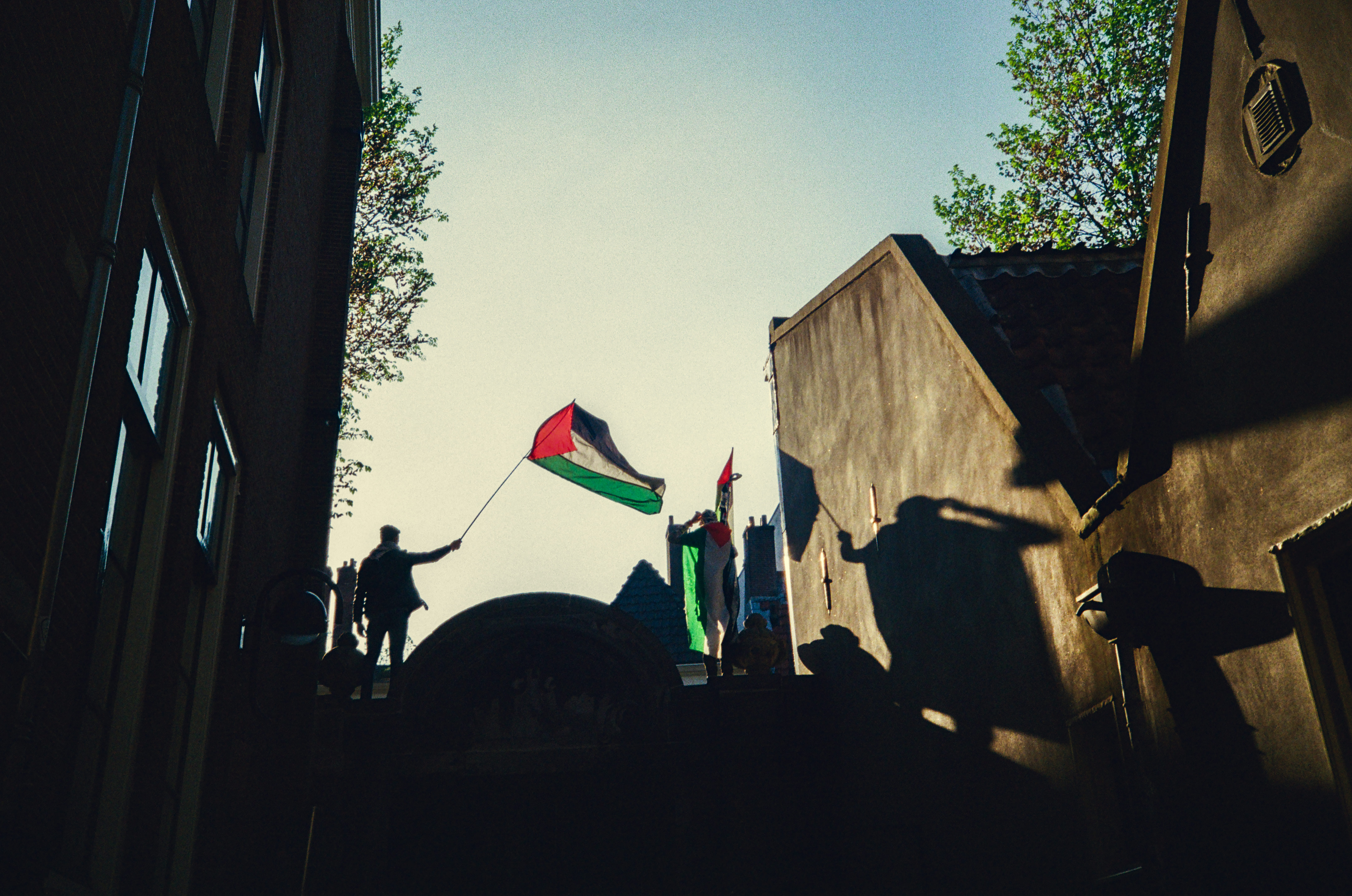 ASSEMBLY FOR PALESTINE